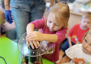 "Jak smakuje jesień...?", czyli owoce i warzywa kulinarnie w gr. XII