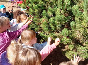 Jesienna innowacja pedagogiczna cz. 1 w grupie III