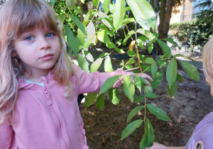 Jesienna innowacja pedagogiczna cz. 1 w grupie III