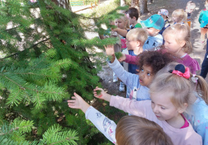 Jesienna innowacja pedagogiczna cz. 1 w grupie III