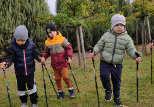 Z kijami ćwiczymy – świetnie się bawimy! – gr. V