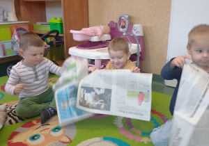 Zdjęcie 30 na 66