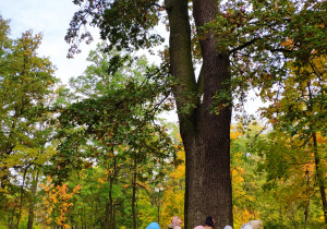 Jesień jest piękna- grupa V na wycieczce w parku