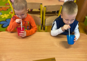 "Mamo, tato wolę wodę!" - realizacja programu edukacyjnego w gr. VI