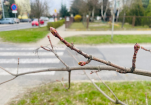 Warto było czekać...- Wiosna w gr. XI