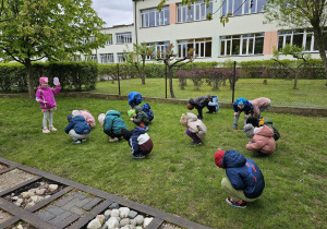 Kwiatki, bratki i stokrotki…..- grupa V