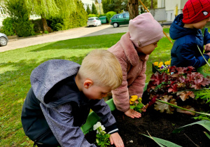 Kwiatki, bratki i stokrotki…..- grupa V