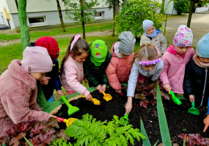 Kwiatki, bratki i stokrotki…..- grupa V