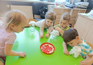 Projekt edukacyjny „WIOSENNIE, ZDROWO, WARZYWNIE, OWOCOWO” w GR XII