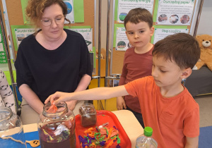 "Dbajmy o naszą planetę..." - projekt edukacyjne w grupie IX