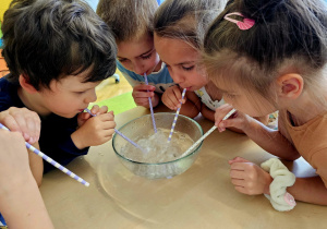 "Czyste powietrze wokól nas"- realizacja programu edukacyjnego w grupie V