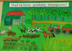 „Skąd się biorą produkty ekologiczne” - gr. IX