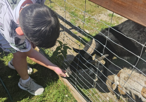 Galeria Wycieczka grupy VIII do Malinowego Grodu w Zgierzu