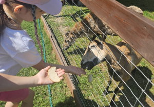 Galeria Wycieczka grupy VIII do Malinowego Grodu w Zgierzu