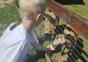 Galeria Wycieczka grupy VIII do Malinowego Grodu w Zgierzu