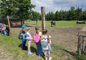 Wycieczka do ZOO- Safari w Borysewie- grupa V