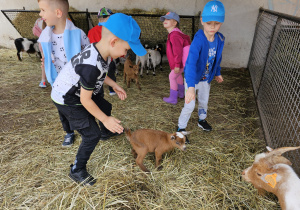 Wycieczka do ZOO- Safari w Borysewie- grupa V