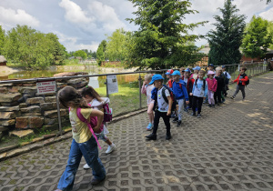 Wycieczka do ZOO- Safari w Borysewie- grupa V