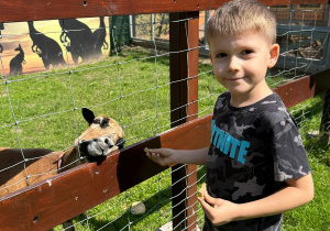 Wycieczka do Malinowego Grodu grupy I