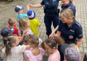 Zbiórka karmy dla konińskiego schroniska