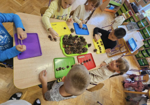 Udział Przedszkola nr 4 „Biały konik” w projekcie #20minutdlaMATEMATYKI