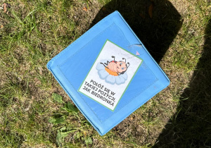 Zabawy na świeżym powietrzu w grupie I