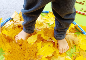 "Sensoryka małego smyka"- podsumowanie innowacji pedagogicznej w gr. XII