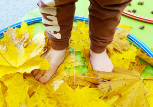 "Sensoryka małego smyka"- podsumowanie innowacji pedagogicznej w gr. XII