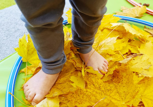 "Sensoryka małego smyka"- podsumowanie innowacji pedagogicznej w gr. XII