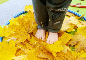 "Sensoryka małego smyka"- podsumowanie innowacji pedagogicznej w gr. XII