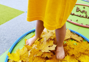 "Sensoryka małego smyka"- podsumowanie innowacji pedagogicznej w gr. XII