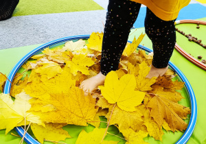 "Sensoryka małego smyka"- podsumowanie innowacji pedagogicznej w gr. XII