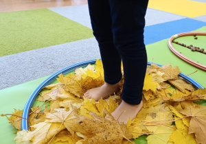 "Sensoryka małego smyka"- podsumowanie innowacji pedagogicznej w gr. XII