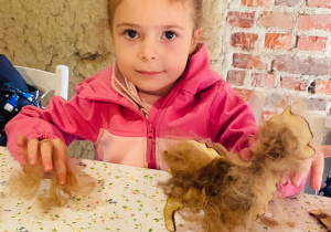 „Kto to taki?- To alpaki…i inne zwierzaki z wiejskiego podwórka” czyli wycieczka z okazji Dnia Chłopca gr. XI i XII