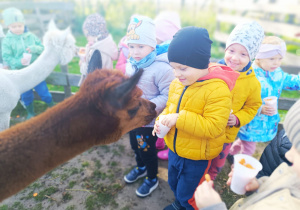 Zdjęcie 266 na 288