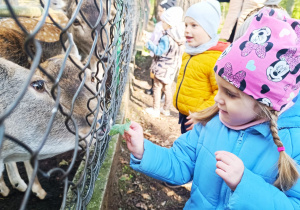 "W poszukiwaniu Pani Jesieni..."- wycieczka do parku- gr. XI i XII