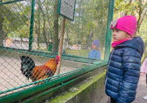 "W poszukiwaniu Pani Jesieni..."- wycieczka do parku- gr. XI i XII