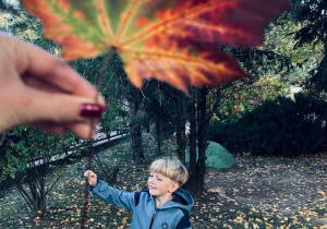 Ogólnopolski Dzień Drzewa w grupie V