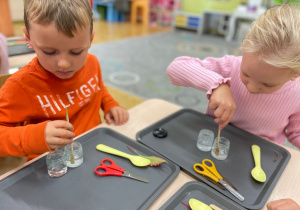 Kolory jesieni w naukowych eksperymentach Innowacyjnej przygody edukacyjnej z KidsLab Konin – grupa III