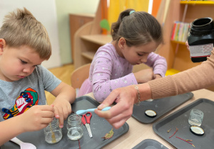 Kolory jesieni w naukowych eksperymentach Innowacyjnej przygody edukacyjnej z KidsLab Konin – grupa III