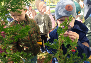 „Zmysłami poznajemy jesień"- projekt edukacyjny w gr. I