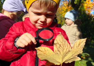 „Zmysłami poznajemy jesień"- projekt edukacyjny w gr. I