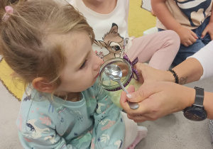 „Zmysłami poznajemy jesień"- projekt edukacyjny w gr. I