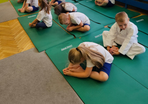 Zajęcia sportowe z trenerem AIKIDO- grupa VI