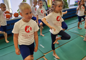 Zajęcia sportowe z trenerem AIKIDO- grupa VI