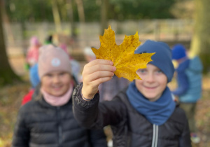 ,,W poszukiwaniu Jesieni"- projekt eduk. grupa VII