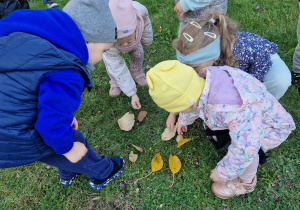 Małe smyki z grupy X w świecie przyrodniczej sensoryki – projekt edukacyjny cz. I JESIEŃ.