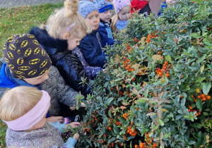 Małe smyki z grupy X w świecie przyrodniczej sensoryki – projekt edukacyjny cz. I JESIEŃ.