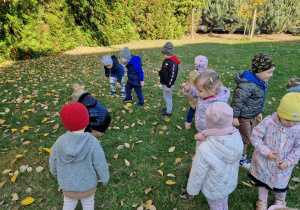 Małe smyki z grupy X w świecie przyrodniczej sensoryki – projekt edukacyjny cz. I JESIEŃ.