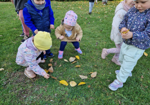 Małe smyki z grupy X w świecie przyrodniczej sensoryki – projekt edukacyjny cz. I JESIEŃ.